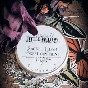 Sacred Cedar Forest Ointment, healing skin salve, natural remedy, forest salve