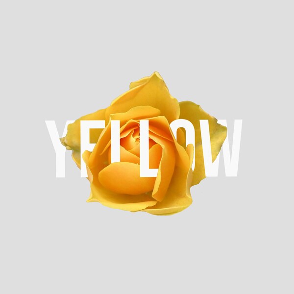 Design flower poster - Yellow Rose | PDF Print, Printables, Art print