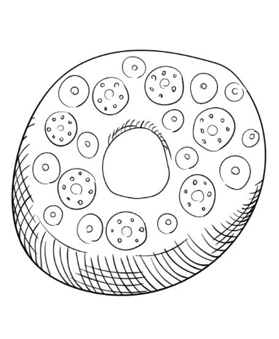 Color by numbers coloring page for kids with donut. Coloring book with cute  cartoon donut with an example for coloring. Monochrome and color versions.  Vector illustration. 20385329 Vector Art at Vecteezy