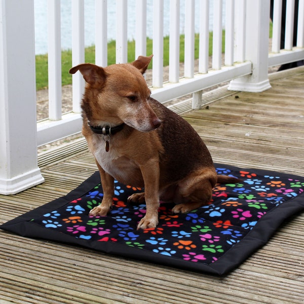 Folding Travel and Training Dog Bed in Black and Bright Paws