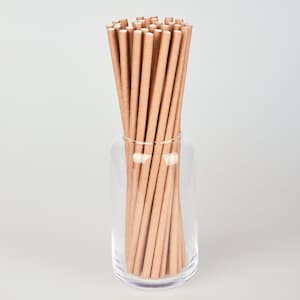 100 cannucce di carta kraft marrone - Cannucce di carta - Biodegradabili - Cannucce di carta marrone - Cannucce da cocktail