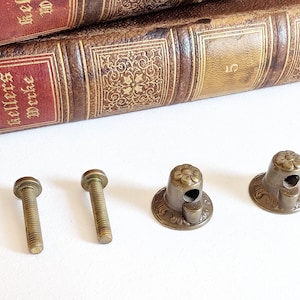 May include: Two brass-colored metal bolts with flat heads and two matching brass-colored metal caps featuring a floral design on top and a side opening. The hardware components are arranged in a row, showcasing a metallic finish and intricate detailing.