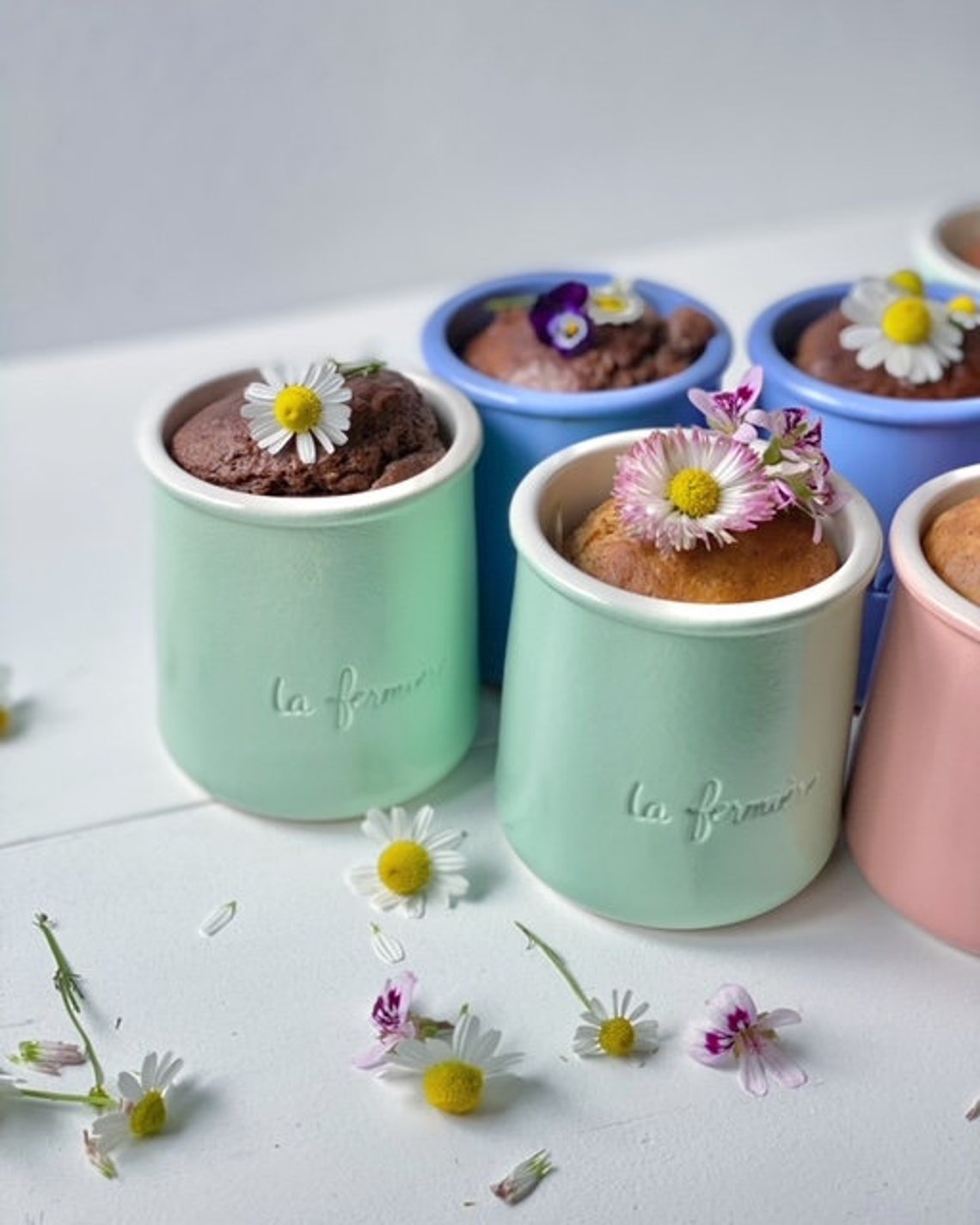 La Fermiere Pastel green Yogurt Terracota Baking or Plant Pots Etsy