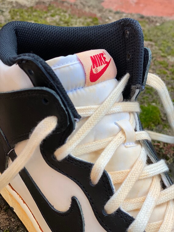 michelangelo dunk high