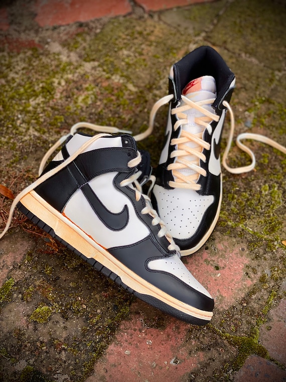 michelangelo dunk high