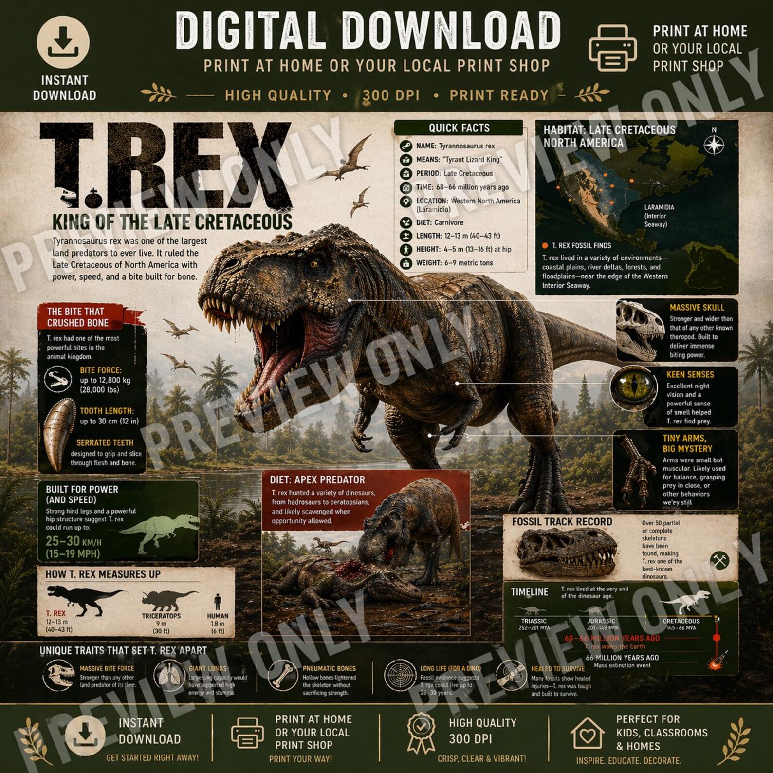 T Rex Dinosaur Infographic Printable | Educational Wall Art for Kids ...
