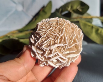 Peut inclure: Une géode de quartz rose délicate, blanche, également connue sous le nom de rose du désert, avec un motif naturel, complexe et en couches. La géode est tenue dans une main, ce qui met en valeur sa taille et ses détails.