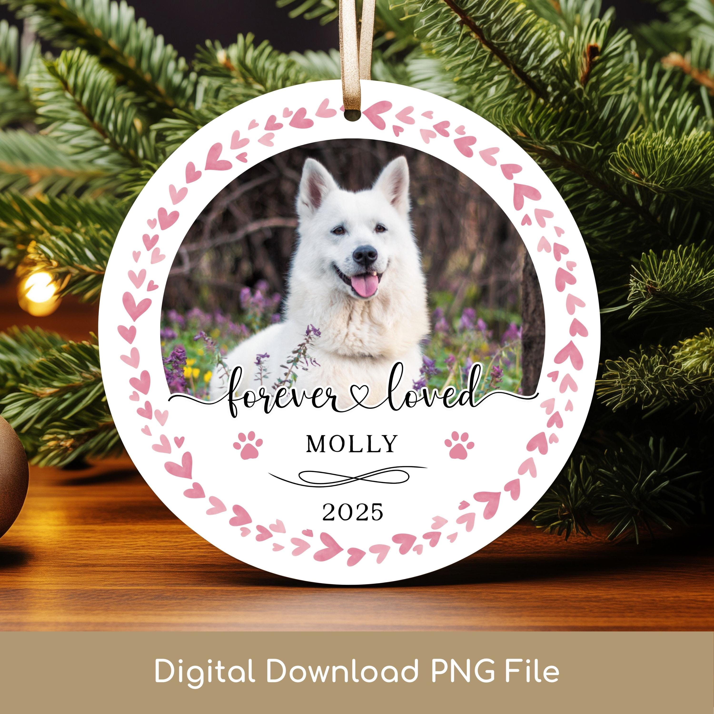 Pet Memorial PNG Bundle, Custom Photo Ornament, Forever Loved Printable ...