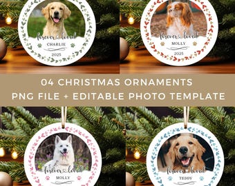 Pacote de enfeites de Natal em PNG para homenagear animais de estimação, designs personalizados para guardar fotos como recordação (download digital)