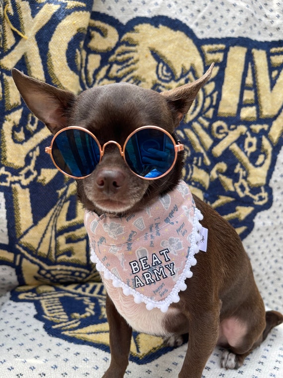 Army dog cheap bandana