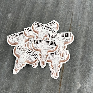 Taking the Bull by the Horns Western Vinyl Sticker, Laptop Sticker, Die-Cut Vinyl Sticker, Longhorn Skull, Western Gift, Wild West