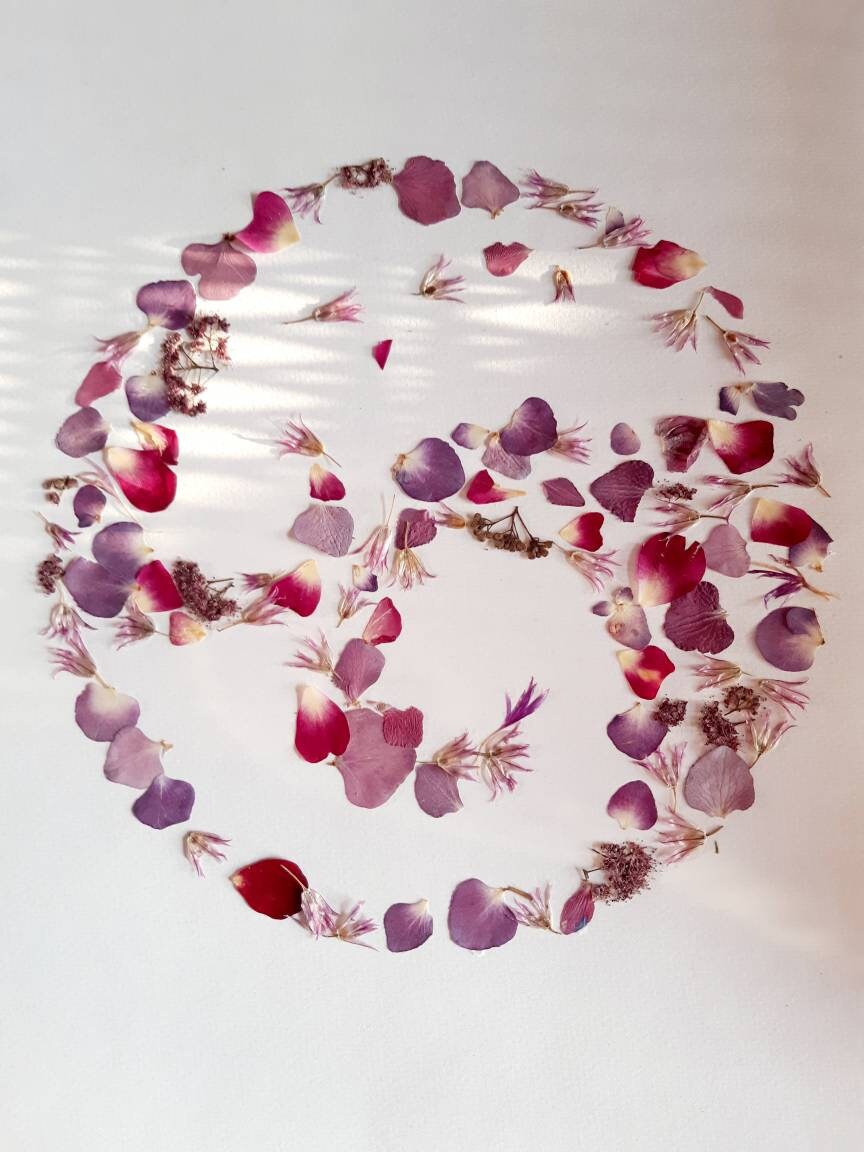 Herbier Moderne de Fleurs Séchées Hortensia et Roses