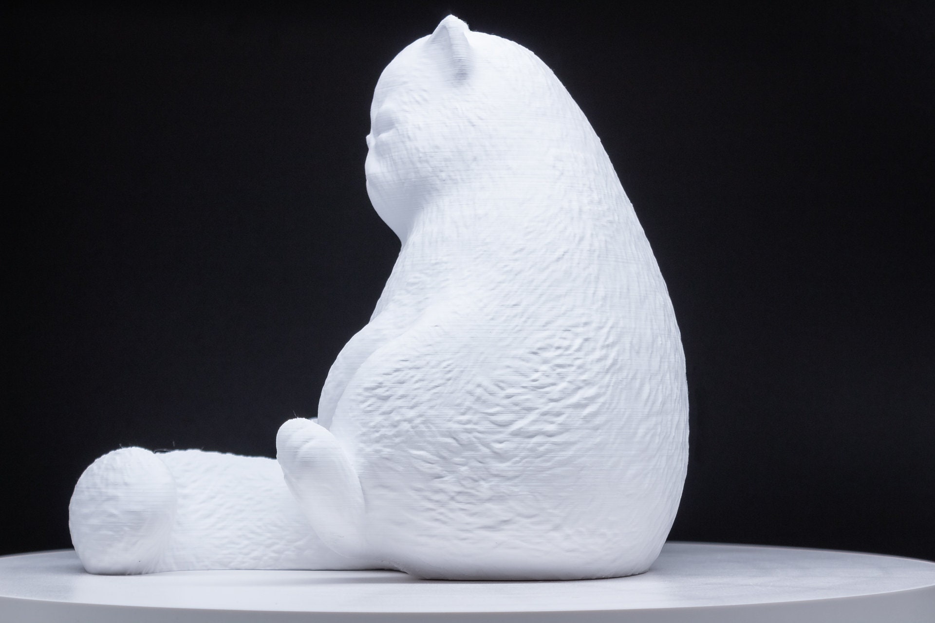 Grumpy Cat Headphone Stand Cat Headphone Holder Fat Cat - Etsy