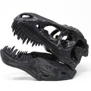 T-REX Skull | Tyrannosaurus Rex, Dinosaur, Bones, Pre-Historic, Classroom Aid, Sculpture