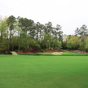 Augusta National #12 Amen Corner Digital Download
