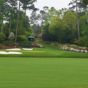 Augusta National #12 Amen Corner 2023 Digital Download