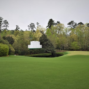 Augusta National #11 Amen Corner Digital Download