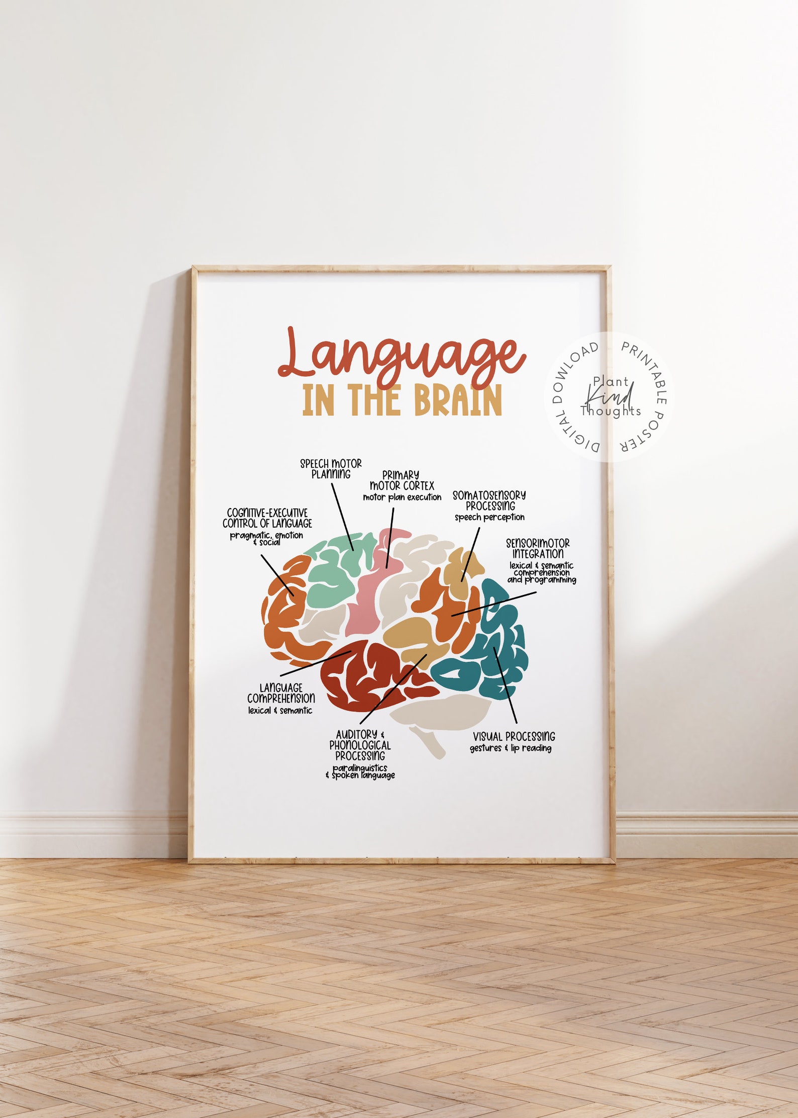LANGUAGE in the BRAIN Poster Speech Room Decor Speech Language Biology Diagrams