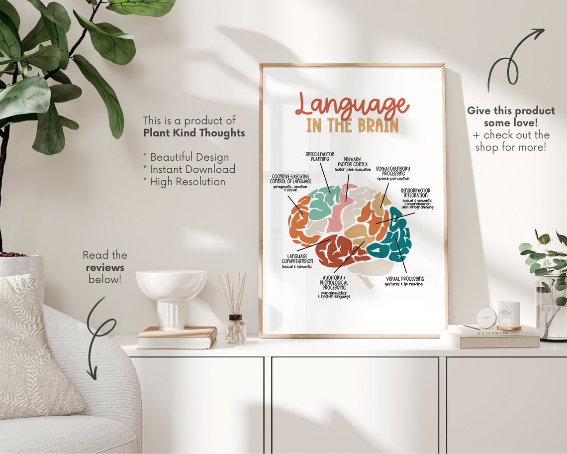 LANGUAGE in the BRAIN Poster Speech Room Decor Speech Language Biology Diagrams