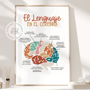 May include: A printable poster with a colorful illustration of the brain, labeled in Spanish with the different areas related to language. The title of the poster is "El Lenguaje en el Cerebro".