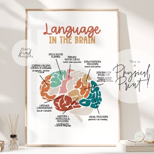 LANGUAGE In The BRAIN Poster Speech Room Decor Speech Language Pathologist Gift SLP Poster Wall Art Office Therapy Decor School Counselor