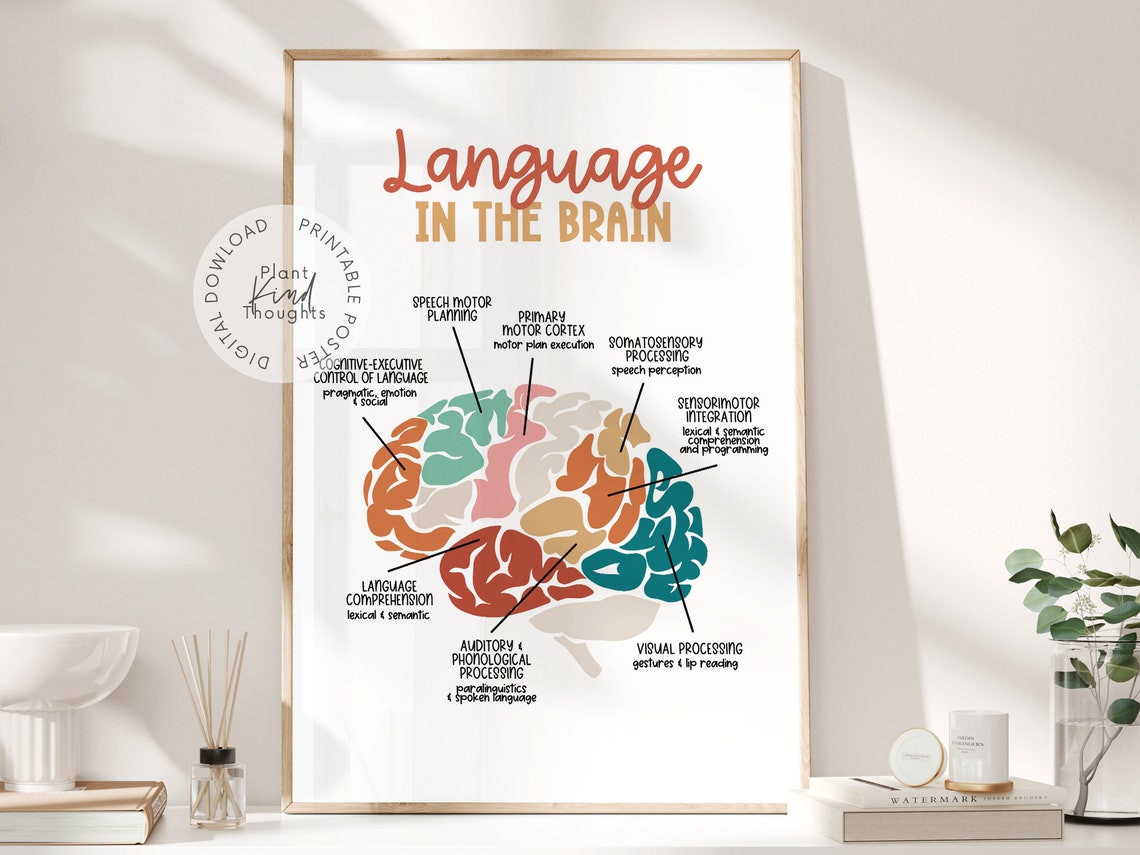 LANGUAGE in the BRAIN Poster Speech Room Decor Speech Language Biology Diagrams