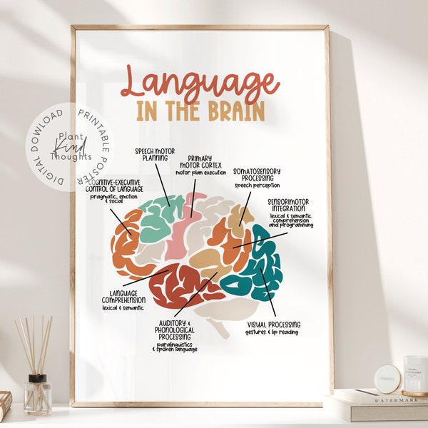 LINGUA Nel CERVELLO Poster Speech Room Decor Discorso Linguaggio Patologo Regalo SLP Poster Wall Art Ufficio Terapia Decor Consulente scolastico