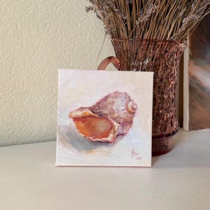 Op de afbeelding: Een klein schilderij van een schelp op een wit doek. De schelp is lichtbruin van kleur met een roze en oranje binnenkant. Het schilderij is rechtsonder getekend met "Ann '25".