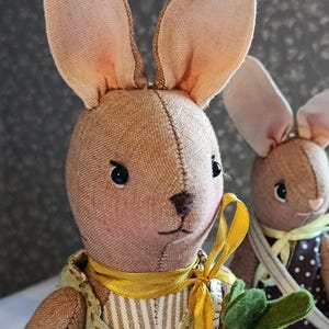 May include: Close-up of two handmade fabric bunny dolls. The bunnies have tan-colored bodies, long ears with pink accents, and black button eyes. One bunny wears a yellow ribbon and a green and yellow vest. The other bunny wears a brown and white polka dot dress.