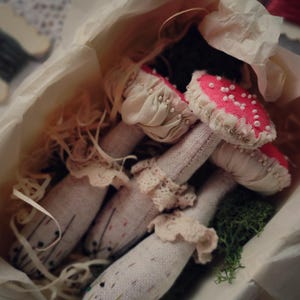 May include: A collection of handmade fabric mushrooms, featuring red and white polka dot caps and cream-coloured stems. They are presented in a white paper-lined box with straw and moss, creating a whimsical, rustic aesthetic.