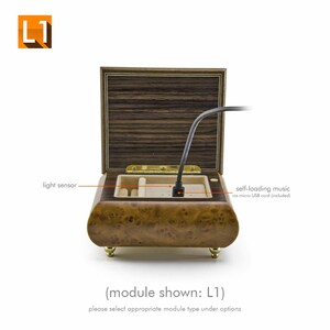 Puede incluir: Una caja de m&uacute;sica de madera con una funci&oacute;n de m&uacute;sica de carga autom&aacute;tica. La caja est&aacute; abierta y un cable USB negro est&aacute; conectado a la caja. El texto "self-loading music via micro USB cord (included)" es visible en la imagen. El texto "(module shown: L1) please select appropriate module type under options" tambi&eacute;n es visible en la imagen.