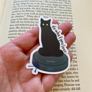 Do What You Love Black Cat Roomba Vinyl Sticker | Funny | Water Resistant | Laptop | Water Bottles