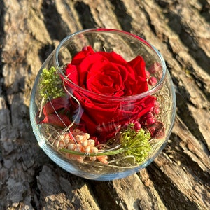 Rosenglässchen zarte Rose Infinity konserviert Trockenblumen Hochzeit Tischdekoration Muttertag Bild 6