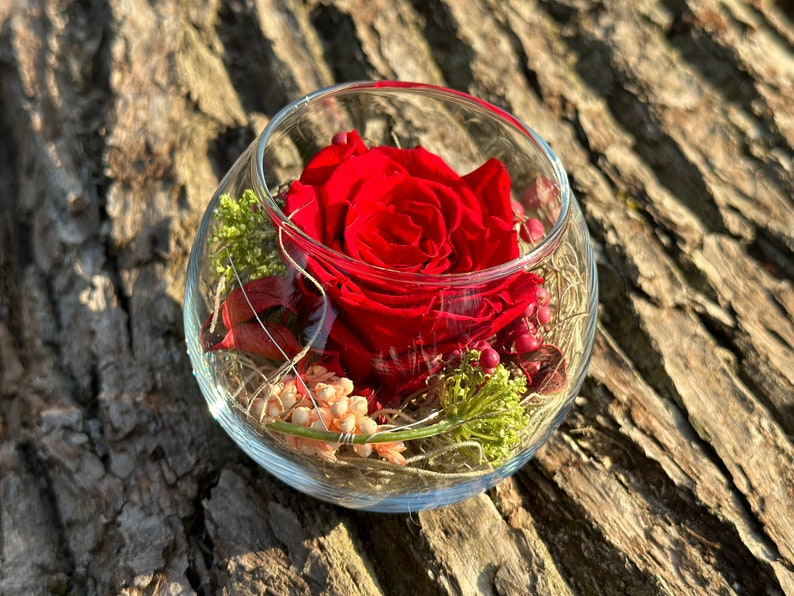 Rosenglässchen zarte Rose Infinity konserviert Trockenblumen Hochzeit Tischdekoration Muttertag Bild 6