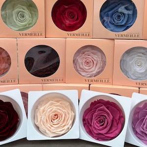 Rose head premium up to 10 cm Infinity stabilized preserved Rose Wedding Mother&#39;s Day