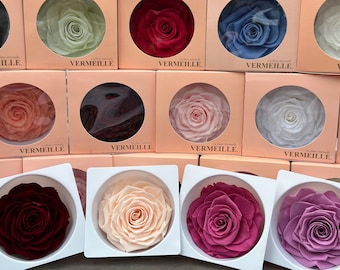 Rosenkopf premium bis 10cm Infinity stabilisiert konserviert Rose Hochzeit Muttertag