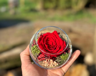 Pot à roses « rose délicate » Infinity fleurs séchées stabilisées décoration de table mariage fête des mères