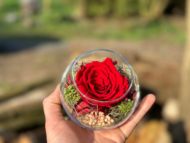 Rosenglässchen zarte Rose Infinity konserviert Trockenblumen Hochzeit Tischdekoration Muttertag Rot