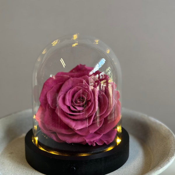 Glaskuppel Rosen Geschenk Konserviert Infinitiy haltbar Geschenk LED Licht Glocke