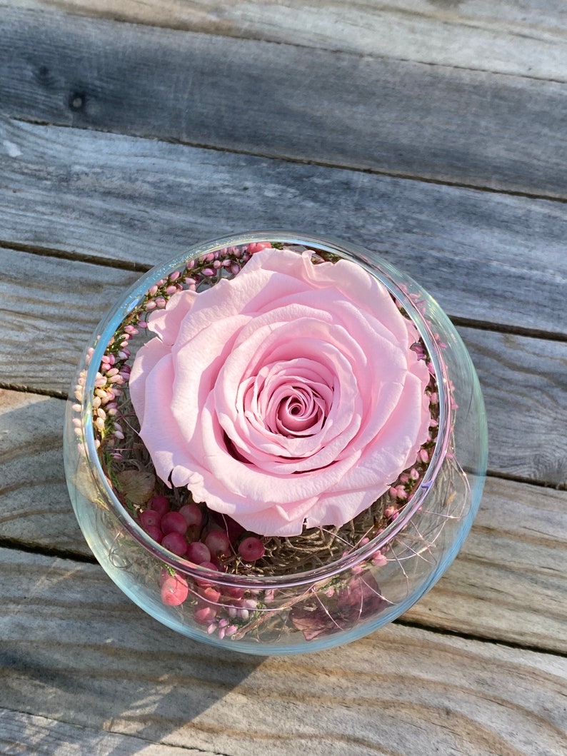 Rosenglässchen zarte Rose Infinity konserviert Trockenblumen Hochzeit Tischdekoration Muttertag Bild 10