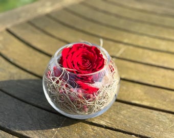 4000 Stck Rosenbltter Getrocknet Knstlich Rot + Rosa - Romantische Deko  Fr Hochzeit & Valentinstag Rosenbltter Rot Rosa