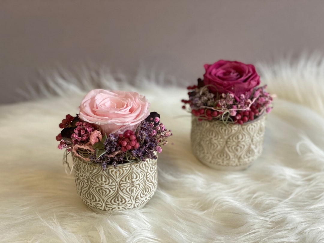 Romantisches Geschenkset – Rosa Teddybär Mit Konservierter Rose, Herz-Halskette & Liebespuzzle In Eleganter Box