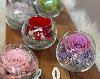 Pot à roses « rose délicate » Infinity fleurs séchées stabilisées décoration de table mariage fête des mères