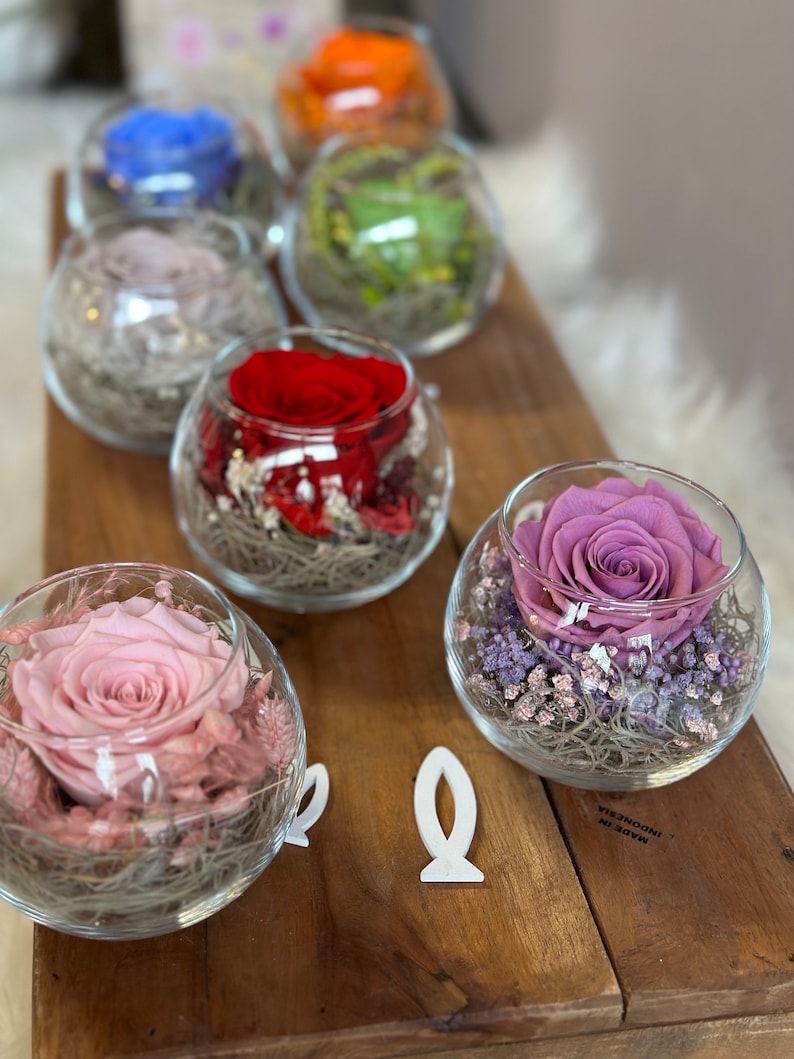 Rosenglässchen zarte Rose Infinity konserviert Trockenblumen Hochzeit Tischdekoration Muttertag Bild 2