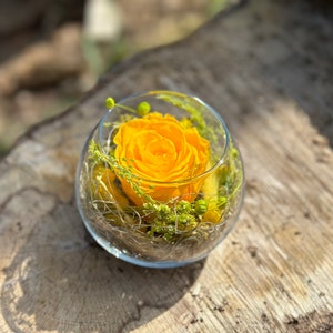 Rosenglässchen zarte Rose Infinity konserviert Trockenblumen Hochzeit Tischdekoration Muttertag Bild 4