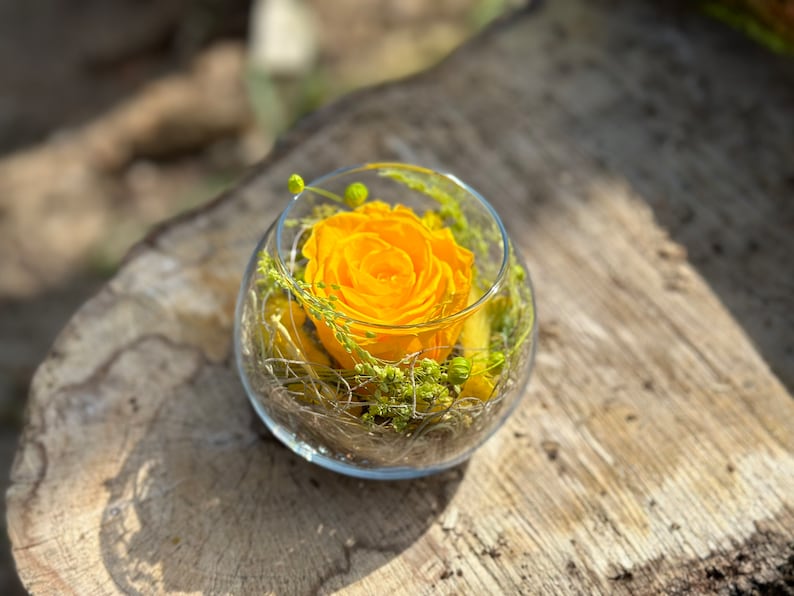 Rosenglässchen zarte Rose Infinity konserviert Trockenblumen Hochzeit Tischdekoration Muttertag Bild 4