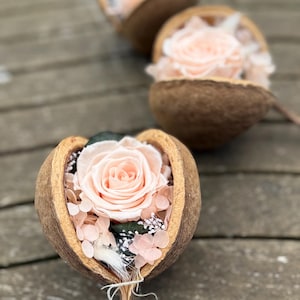 Könnte beinhalten: Drei konservierte hellpfirsichfarbene Rosen in natürlichen braunen Samenkapseln. Jede Rose ist von kleinen hellrosa Hortensienblüten, dunkelgrünen Blättern und weißen Füllblumen umgeben, die ein florales Arrangement in der Schale bilden.
