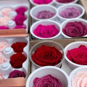 Preserved Roses everlasting long lasting Infinity Natural rose heads Mother&#39;s Day