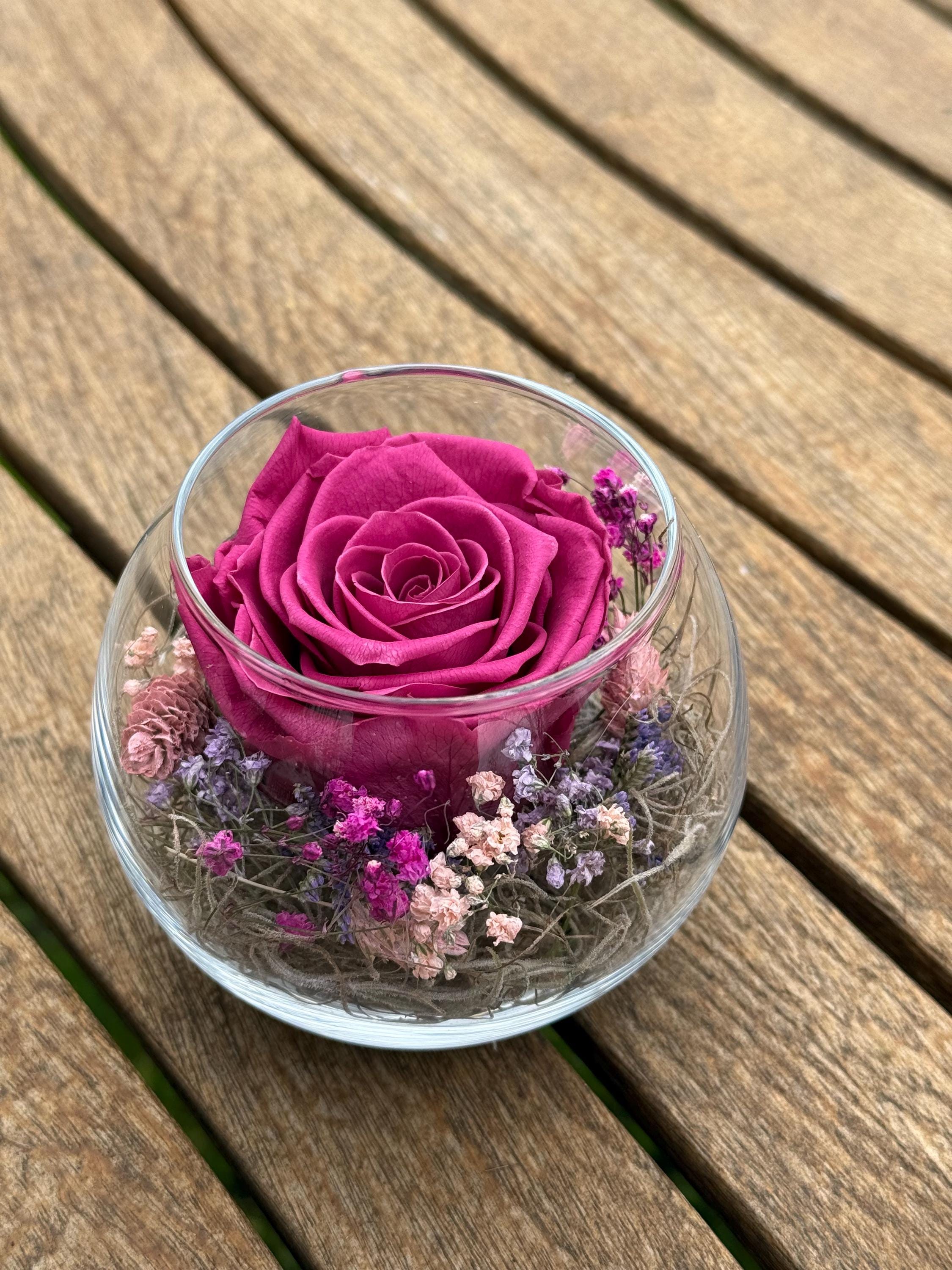 Rose Jar “delicate Rose” Infinity Preserved Dried Flowers Wedding Table Decoration Valentine's Day