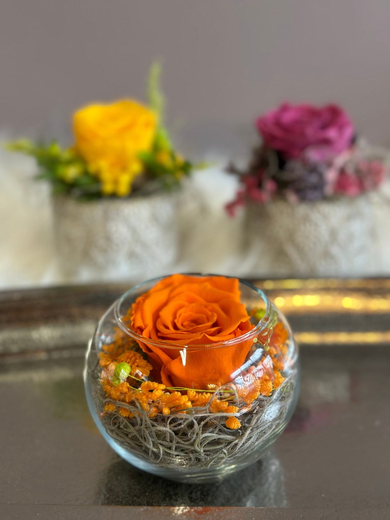 Rosenglässchen zarte Rose Infinity konserviert Trockenblumen Hochzeit Tischdekoration Muttertag Orange